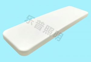 吸頂（dǐng）燈罩（zhào）