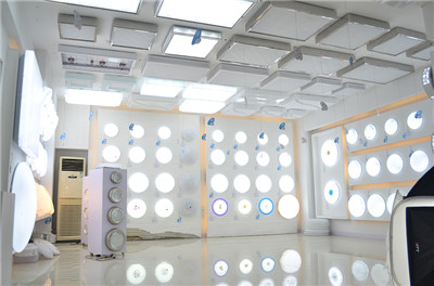 吸頂（dǐng）燈罩